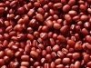 organic adzuki beans
