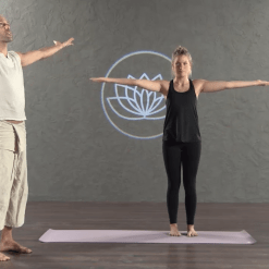 Well Cell Slow Yoga Program