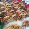 Well Call Fish and shellfish recipes