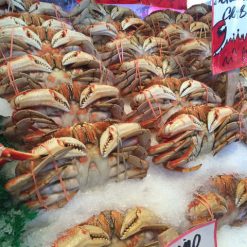 Well Call Fish and shellfish recipes