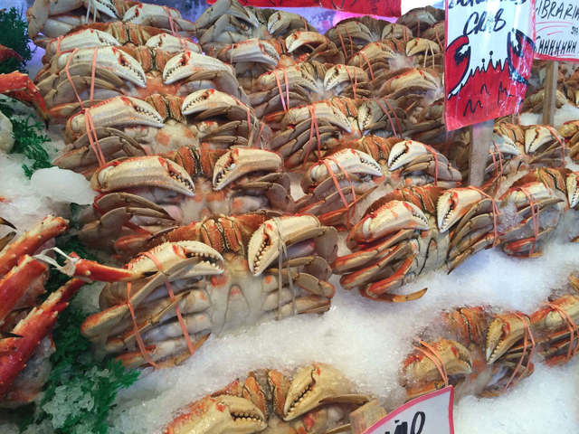 bodie-pyndus-57646.resized Well Call Fish and shellfish recipes