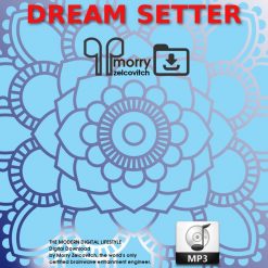 Dream Setter by Morry Zelcovitch