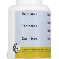 Echinacea