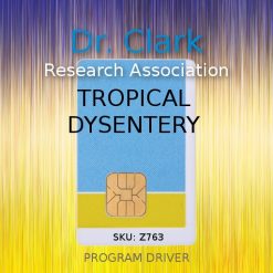 tropical dyssentery