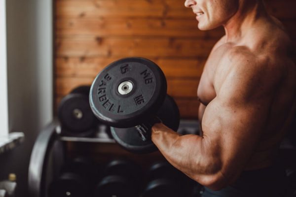 Top 10 Foods to Gain Muscle Mass
