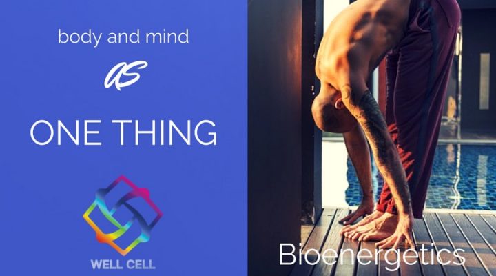 Explaining Bioenergetics