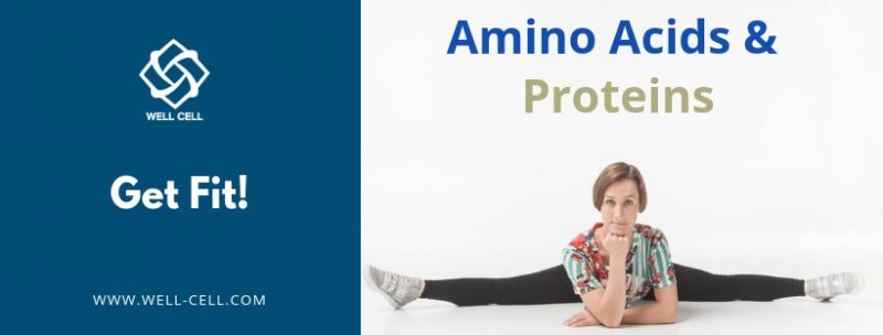Amino Acids and Proteins