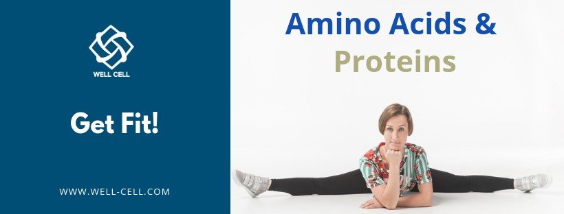 Amino Acids and Proteins