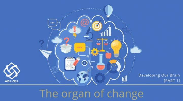 Developing our Brain [part 1]