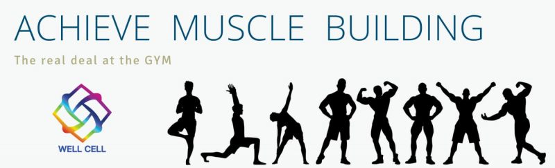Achieve Muscle Building