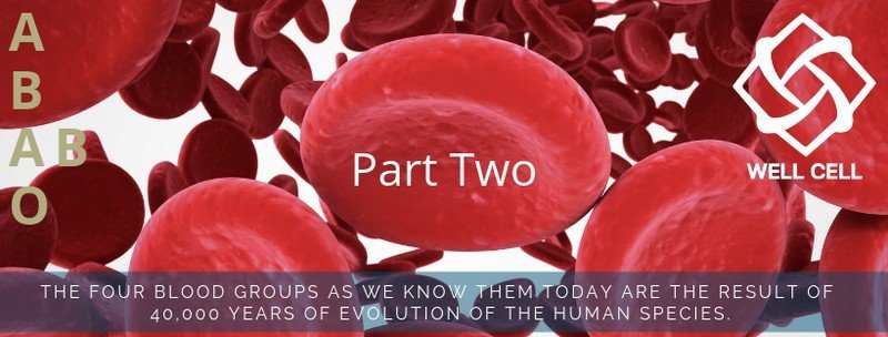 Blood groups and nutrition Part 2