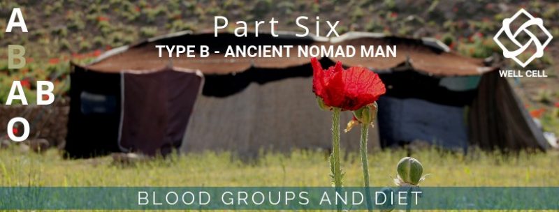 Blood group type B