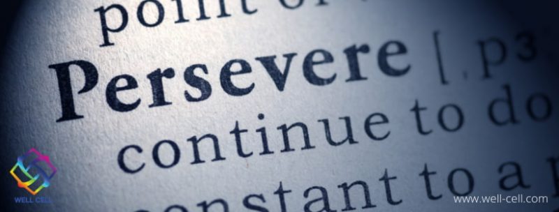 perseverance