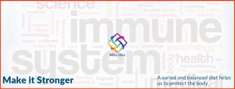 As time goes by, our climate changes, even though we are on summer temperatures drop frequently and with that, flu and other related diseases easily return as a consequence.