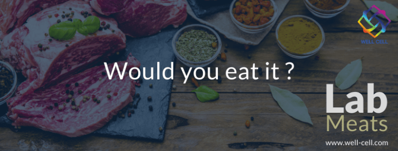 Would you eat meat that is made in a laboratory?