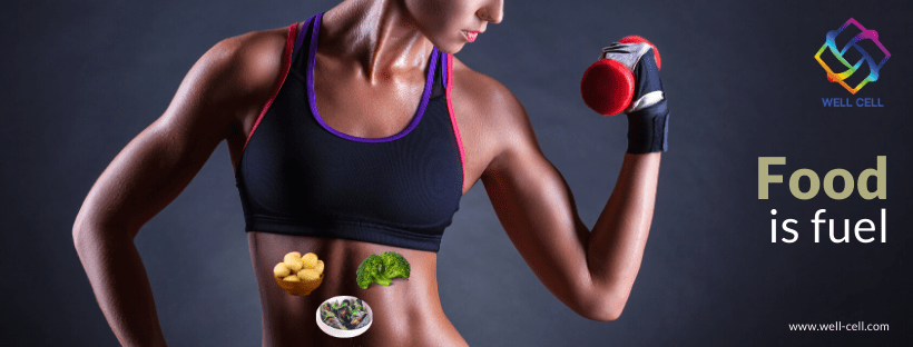 Gain energy with food