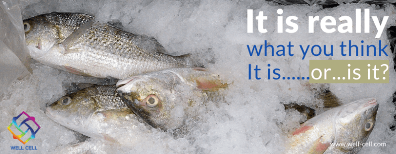 The fish paradox