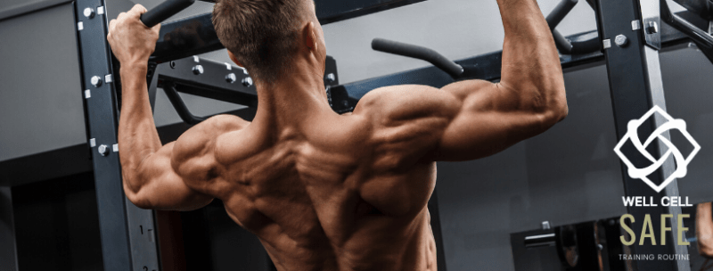 A Healthy Back Is Your Foundation Of Fitness