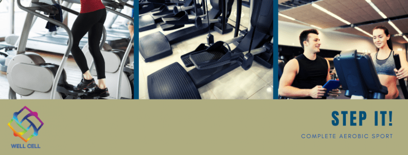 About the Stepper