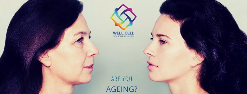 Wrinkles and skin aging