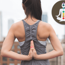 Well Cell Special Yoga Collection - Video 1 - Bridge Pose Tutorial the Path to Headstand