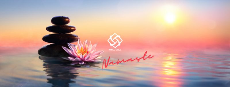 Here is why meditation is your best ally