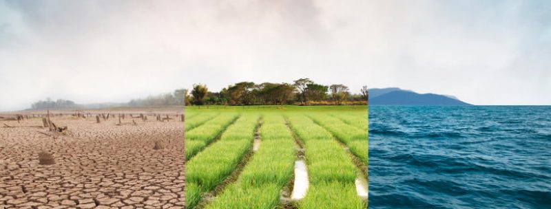 Why do we find it so difficult to get used to a new climate
