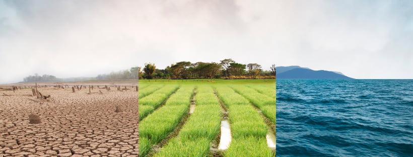 Why do we find it so difficult to get used to a new climate