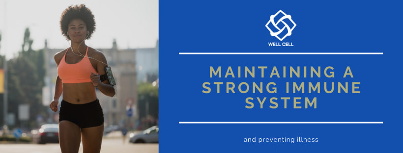Immune System and Why You Should Help It