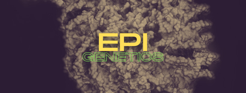 How Epigenetics Can Contribute To Your Wellbeing 1