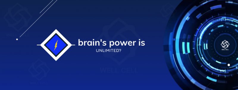 The power of the human brain Improve Your Cognitive Abilities